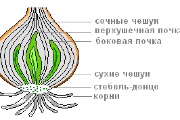 Кракен официальная ссылка vtor run